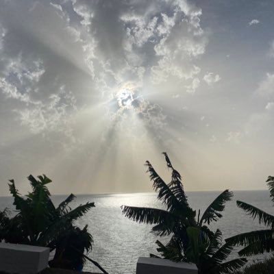 Grant_on_fire's profile picture. all I ever wanted was to live on an island