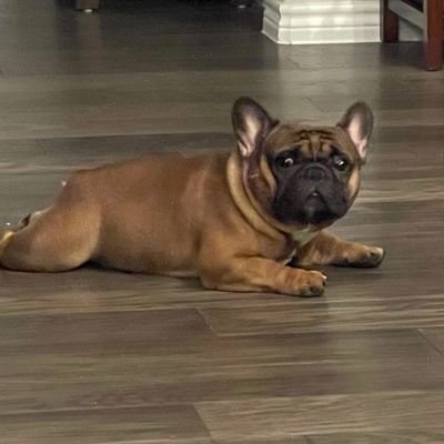 jjstation_'s profile picture. an audioslave