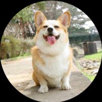 やまねちゃん🐶 (@yamane_ou) 's Twitter Profile Photo やまねちゃん🐶 (@yamane_ou) 's Twitter Profile Photo