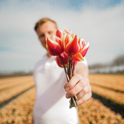 ricardotavenier's profile picture. SEO Specialist en ontwikkelaar van @SearchGeekNL een SEO tool voor ondernemers die zelfstandig hun SEO willen uitvoeren zonder de hoge kosten van een agency.