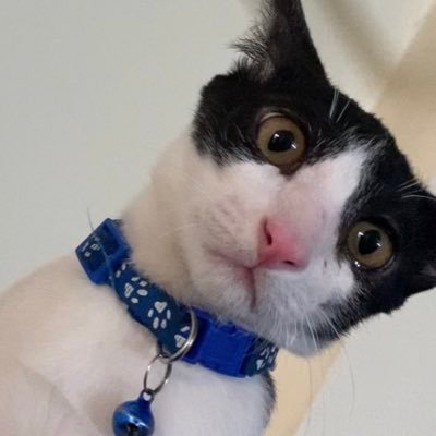 aniketrawat_'s profile picture. 