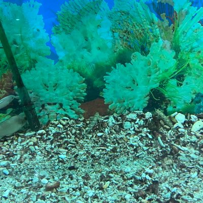 mrck29's profile picture. Quantum computing, Blockchain, physics, chemistry, Literature, Maths. 6DWSFM3Y GAM3V9QK @nexchain_ai