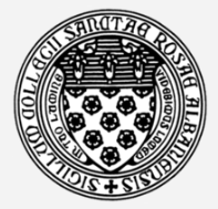 TheICRT's profile picture. Presently serves as a Professor at the College of St. Rose in the accredited BSW Social Work Program. He is the founding Director of The ICRT.