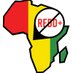 No REDD in Africa Network (@noreddinafrican) Twitter profile photo No REDD in Africa Network (@noreddinafrican) Twitter profile photo