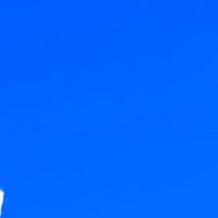 si (@miso_enbn) 's Twitter Profile