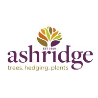 Ashridge Nurseries (@ashridgetrees) 's Twitter Profile