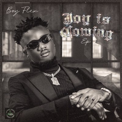 BoyFlex's profile picture. Artist