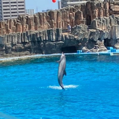 wdYk45C1B3mewc8's profile picture. 