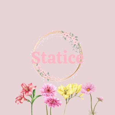 Statice_viva19's profile picture. 静岡県立大学The Vivaledge OBOG同期バンド【おすけ|せなな|ゆゆ|くりちゃん】つむぎうた🥈 SAS2024 アカソニ極2025決勝