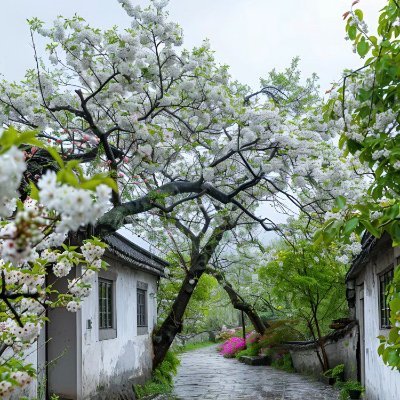 sukupsudah's profile picture. Be an adult in the wind and rain, and be a child in the sunshine.