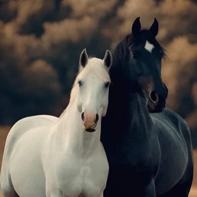 اللهم انفعني وانفع بي وارزقني وارزق مني وأكرمني وأكرم بي وسخرني للخير وسخر الخير لي 🤍 #حقبة_النور #عام_الاكتمال 🎯