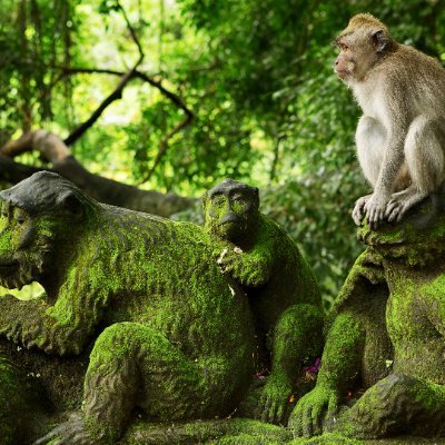 supreme_ant_eat's profile picture. Part time DJ 
Full time opinion haver