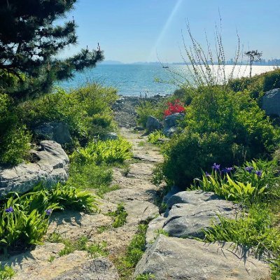 JokamUnpad's profile picture. You don't have to be born brave or gifted.
You just have to be happy over and over again.