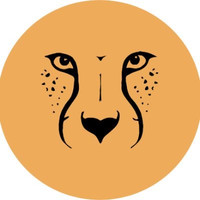 Cheetah_Sprts's profile picture. Cheetah Sport
🔬 dedicated to share sports science content