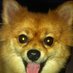 JUDY DAVIS (@judy97783) Twitter profile photo JUDY DAVIS (@judy97783) Twitter profile photo