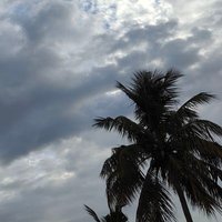 UMA Shankar G (@shankar91558505) 's Twitter Profile Photo