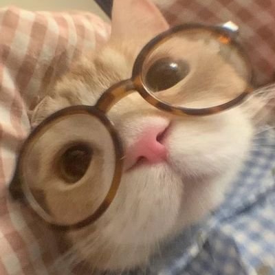 러러さんのプロフィール画像
