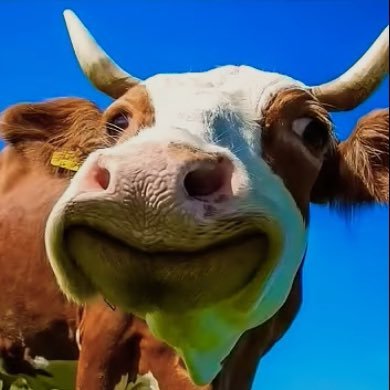 Crimsonriot9147's profile picture. 