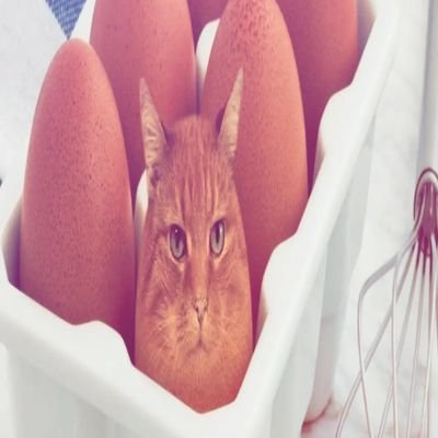 murphy_or_pon's profile picture. what