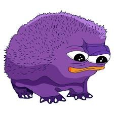 torti844's profile picture. 