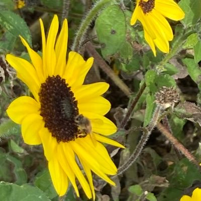 UnfurlGlory's profile picture. 