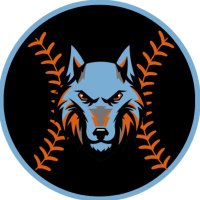 Ballantyne Ridge HS Baseball (@brhswolves_base) 's Twitter Profile