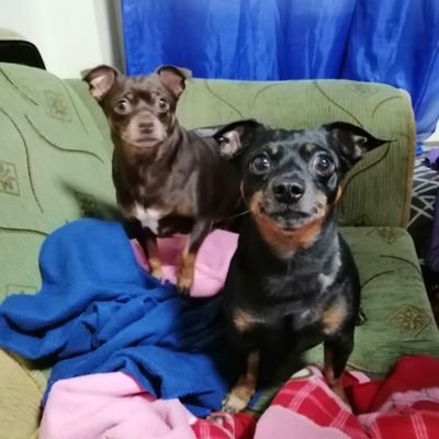 ngt1964's profile picture. 