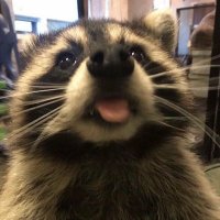 βππ«ππ¬π‘-ππ¨π’π¬πβ (@trash_noise) 's Twitter Profile