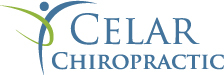 Hillside Illinois chiropractic clinic. Massage therapy, acupuncture, ChiroThin weight loss and Cryoskin body sculpting.