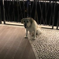 Alan (@alan24tt) 's Twitter Profile