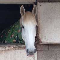 Adrian Abbott (@adrian357abbott) 's Twitter Profile