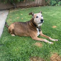 Mike (@henrym2421) 's Twitter Profile