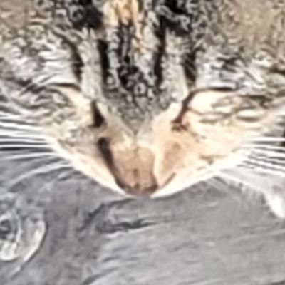 lllさんのプロフィール画像