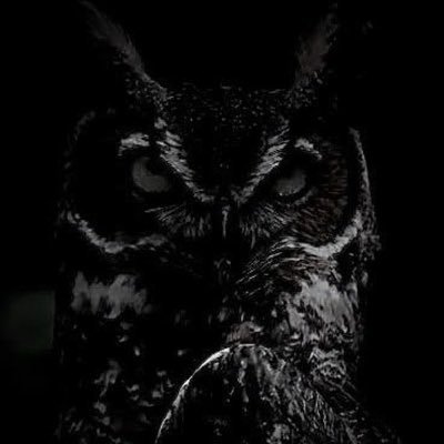 PRLMNT_OG's profile picture. 