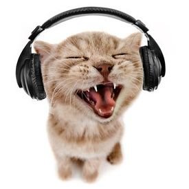 reinecroquette's profile picture. she/they☆
- colle lover - windows hater -
Team Manager for Dragon's Esport