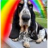 MocklerBassets's profile picture. #MocklerBassets: Jill, 🌈CC, Jack, Charlene, Ernest & Nancy. Mom’s a retired Art Teacher #VFWAuxiliary #NRA✝️🇺🇸🍫followed by @HerschelWalker & @Phil_Sledge🐾