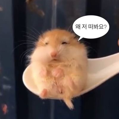 dot_073's profile picture. FSW | 디그레이더(디) | 로프버니 | 스팽커

일상트 7 : 섹트 3

접률📉