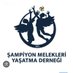 Şanpiyonmelekleriyaşatmaderneği (@melekleriunutma) Twitter profile photo Şanpiyonmelekleriyaşatmaderneği (@melekleriunutma) Twitter profile photo