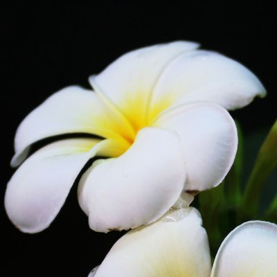 MRoberts95868's profile picture. 