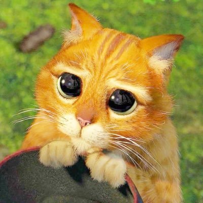 りーふさんのプロフィール画像