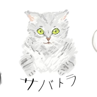 White Playerさんのプロフィール画像