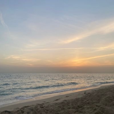 BassmaAlhamad's profile picture. 