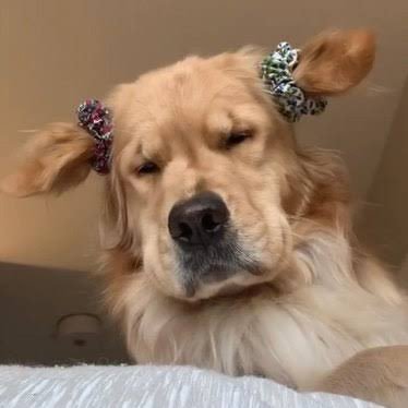 pirapruek's profile picture. 🌅 🍻 🎶 🌊 ☕️ 🌳