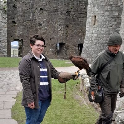 Medievalist working in commercial archaeology and researching medievalism on the side.  he/him