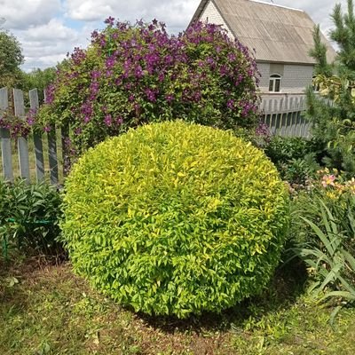 kademisport's profile picture. 