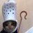 wlodkow's profile image
