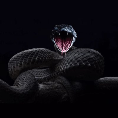 MarkMarkzony's profile picture. 