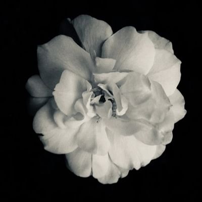 kocheyko's profile picture. 