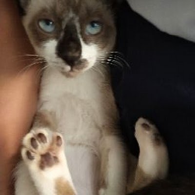 TGemini210757's profile picture. 