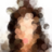 ichliebewalle's profile image